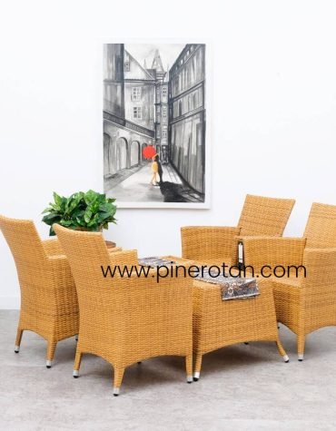 Kursi Ruang Tamu Rotan - Kenko LS 4X1 - Kenko CT - Plain Honey