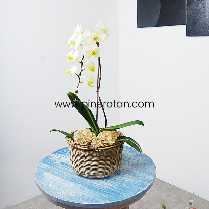 Keranjang Serbaguna Rotan Vanity - Vanity Basket - Plain Honey